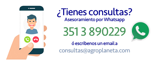 Compra online paga en 3 cuotas